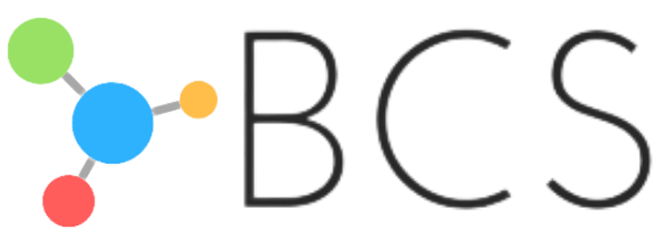 Business Care Solutions